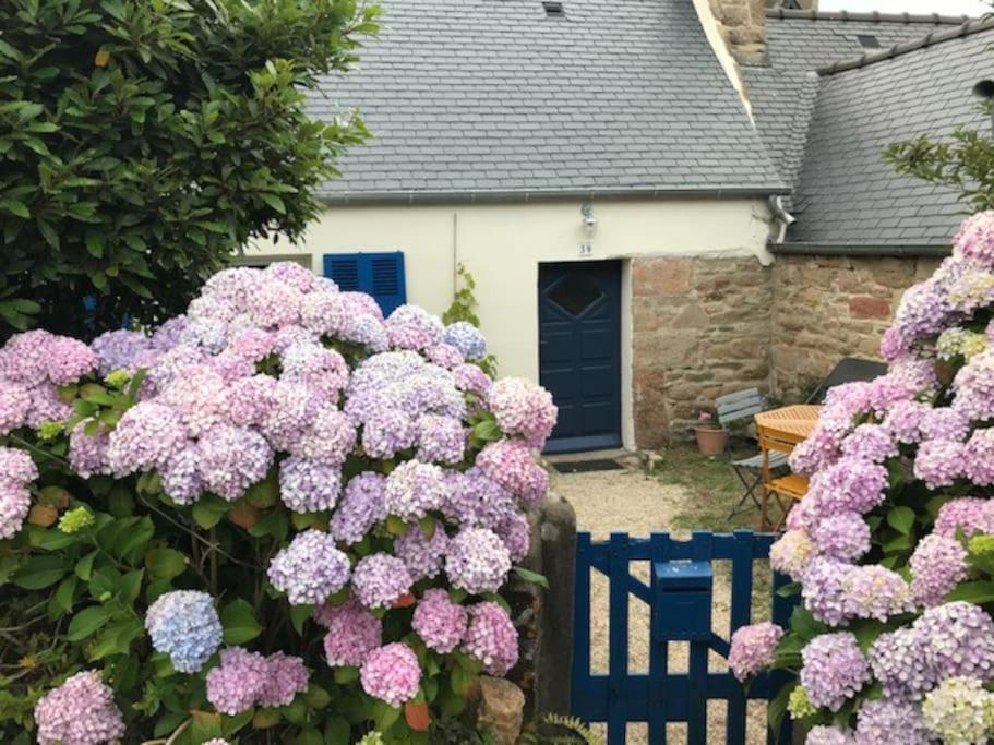 Charmante Maison De Pecheurs Trebeurden Luaran gambar
